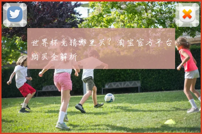世界杯竞猜哪里买？淘宝官方平台购买全解析