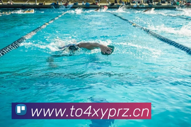 星空网页版登录界面发展历程